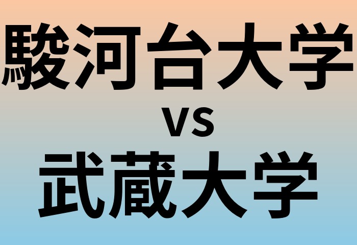 駿河台大学と武蔵大学 のどちらが良い大学?