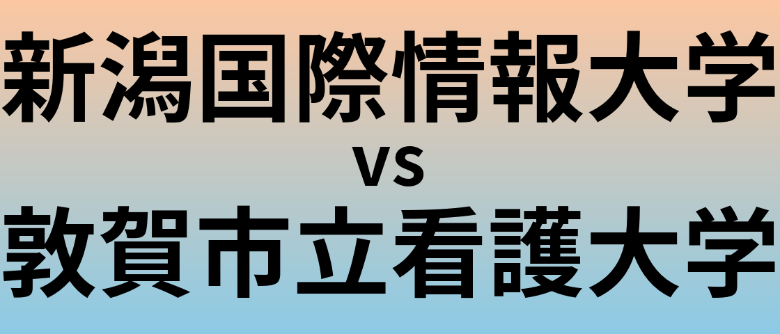 新潟国際情報大学と敦賀市立看護大学 のどちらが良い大学?