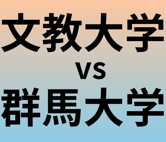 文教大学と群馬大学 のどちらが良い大学?