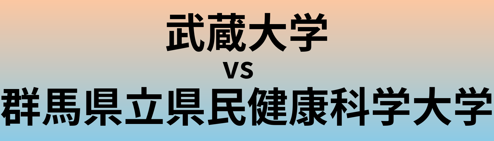 武蔵大学と群馬県立県民健康科学大学 のどちらが良い大学?